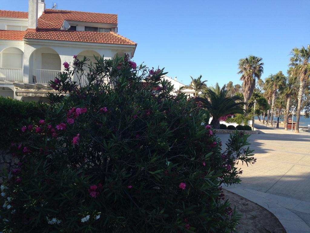 Ornis Apartments Platja Apartment